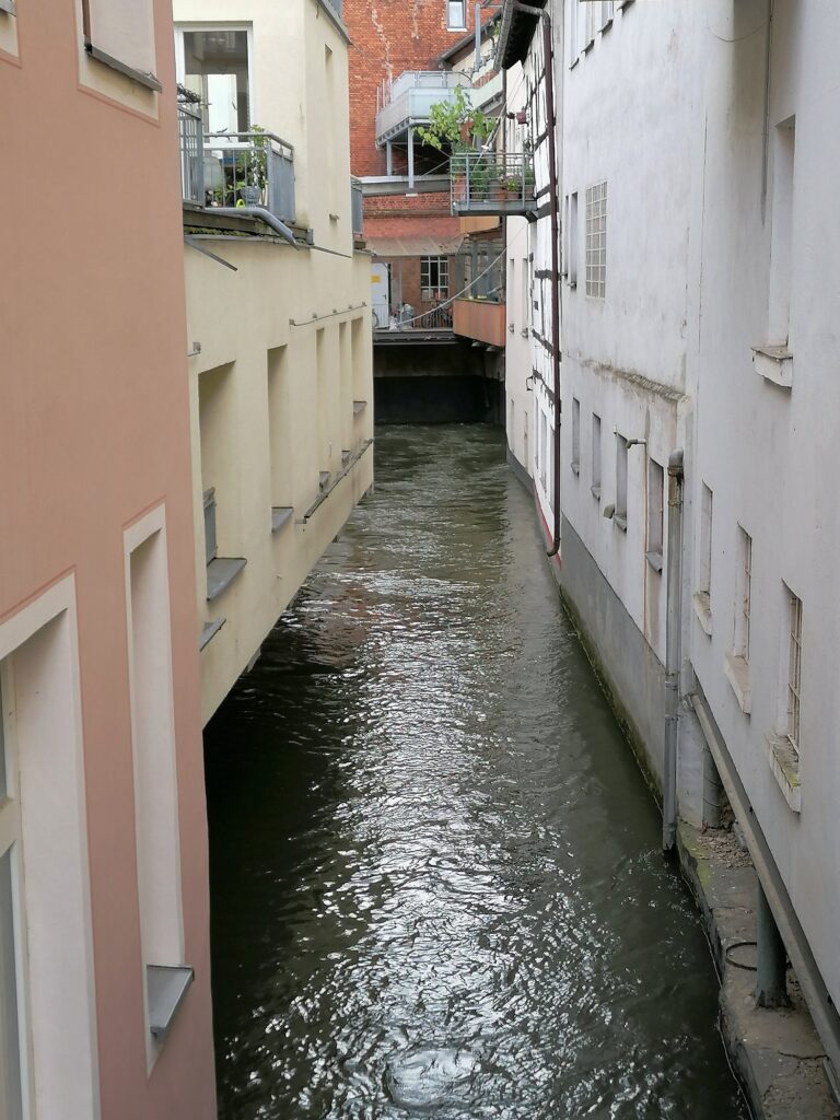 Wiesent in Forchheim