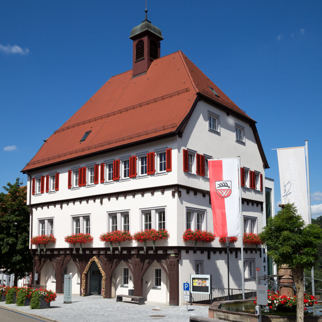 Stadtansicht Wildberg